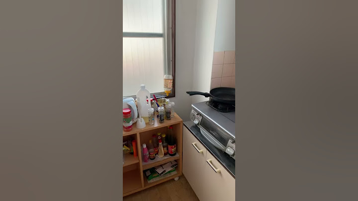 The Real Japan’s micro apartment