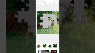 Jigsaw Dear Puzzel screenshot 2