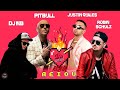 Justin Quiles X Robin Schulz Feat Pitbull AEIOU DJ MB Remix 2023 mp3