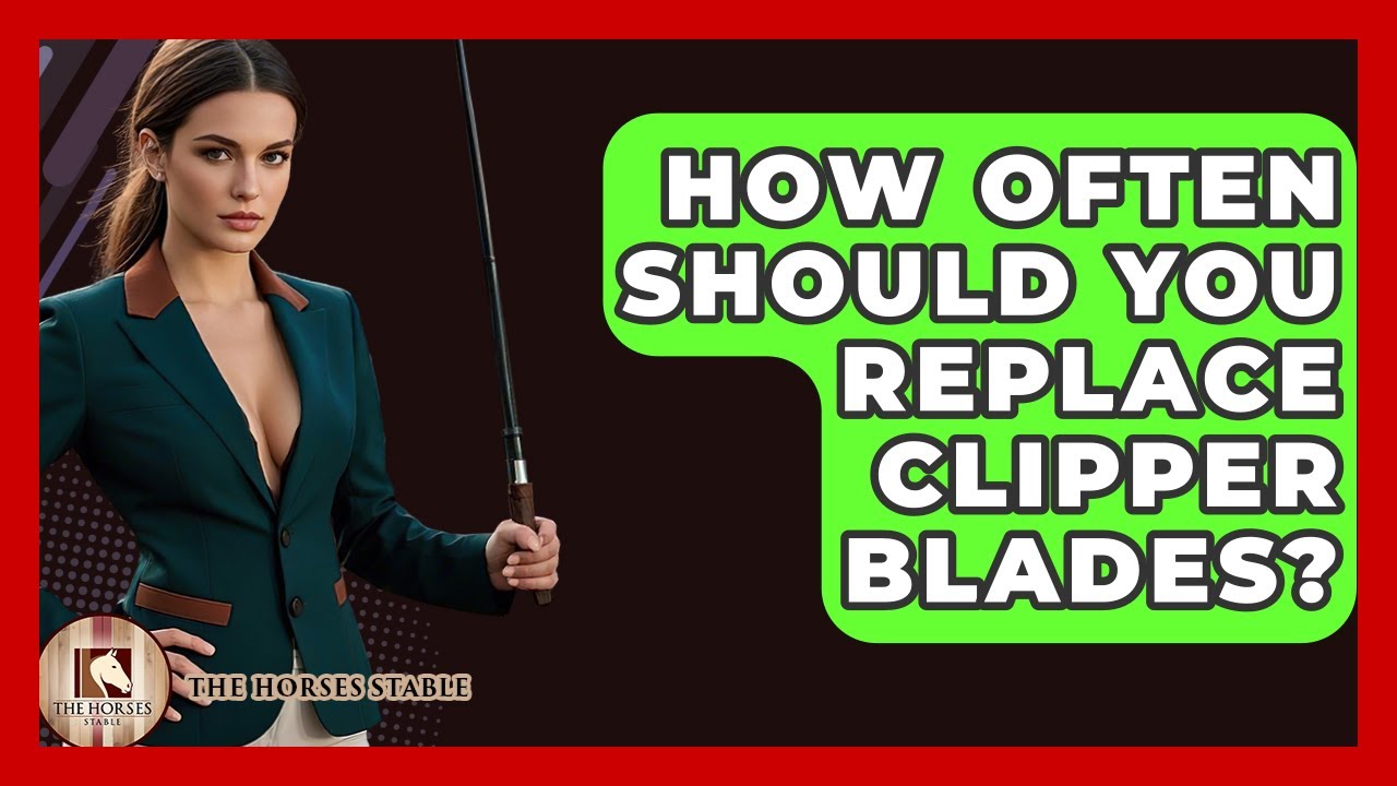 How Often Should You Replace Clipper Blades? - The Horses Stable