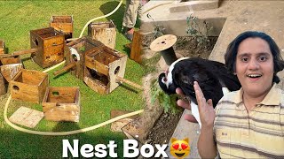 Parrots Ky Nest Box A Gaya 😻Finally @shehrmaindihat 