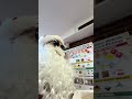 Post office cake delivery