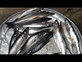 SAMAKI WA ZIWA NYASA WANA RADHA YA KIPEKEE SAMAKI WA ZIWA NYASA WANA RADHA YA KIPEKEE