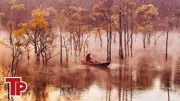 Suối Tía   vẻ đẹp tựa tiên cảnh nơi thượng nguồn hồ Tuyền Lâm | Tiền Phong TV