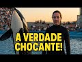 🐋 A VERDADE CHOCANTE! O Falso Ataque da Orca a Jessica Radcliffe 🚨