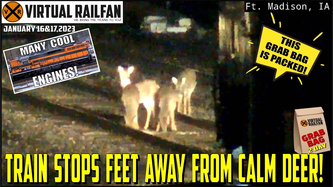 TRAIN STOPS FEET AWAY FROM CALM DEER! 2 CAR CHASES, POWER MOVES,  A PACKED GRAB BAG! 1/16&17/23