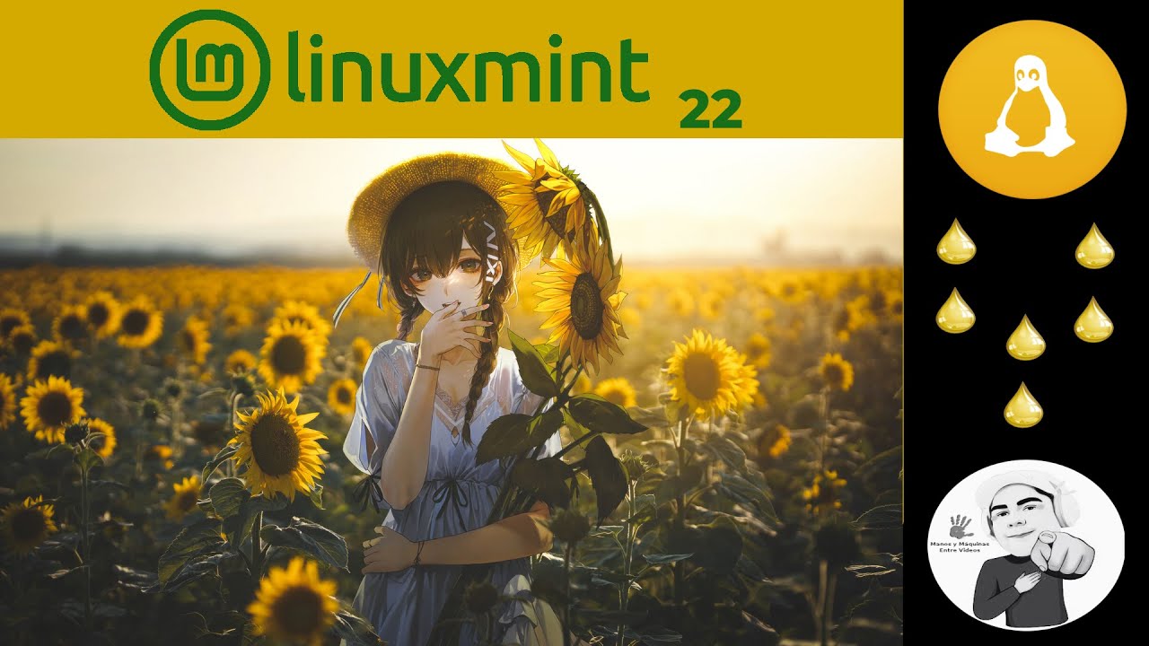 Linux Mint 22 WIlma | Linux Mint migra su base a Ubuntu 24.04 para los ...