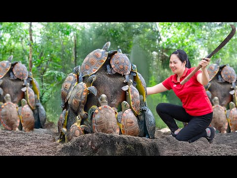 Harvesting Giant Rock Turtle &amp; Go to Market Sell | Brave woman sells turtle for $500,000 | Lý Thị Ca