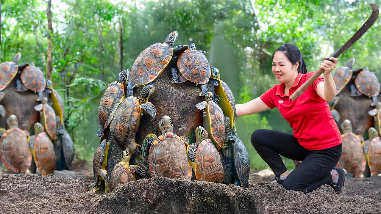 Harvesting Giant Rock Turtle & Go to Market Sell | Brave woman sells turtle for $500,000 | Lý Thị Ca