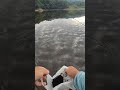 🎣湖畔での癒しのひととき!心静かに釣りを楽しむ🍃【大自然の贈り物】