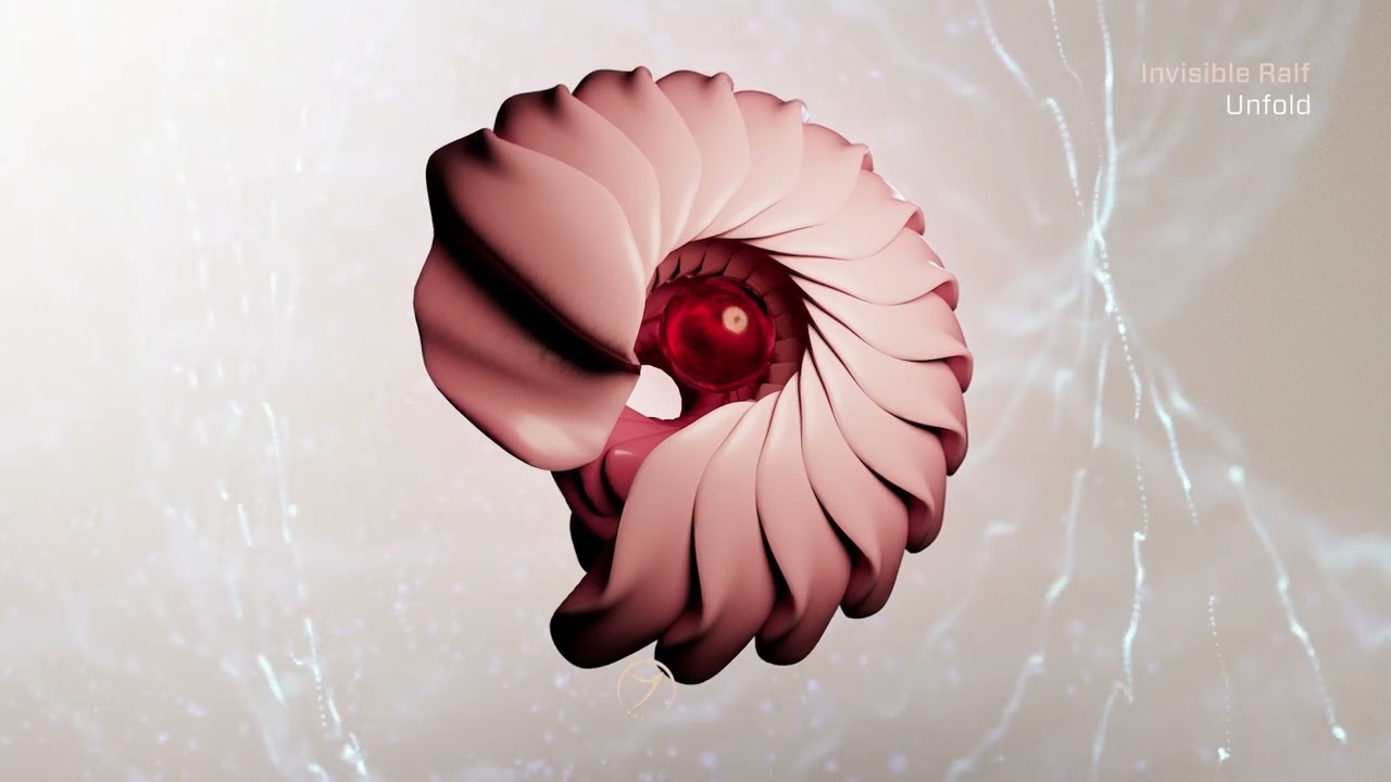 Invisible Ralf - Hengstdal