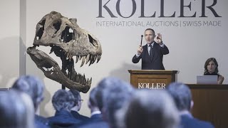 T-rex skeleton sells at auction for roughly $5.3 million