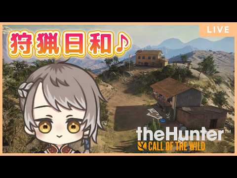 参加型 【 theHunter: Call of the Wild 】今日も狩猟日和♪【 #小梟の狩猟生活 / #vtuber 】