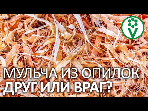 СМЕЛО ИСПОЛЬЗУЙТЕ ОПИЛКИ В САДУ И ОГОРОДЕ, если знаете эти нюансы!