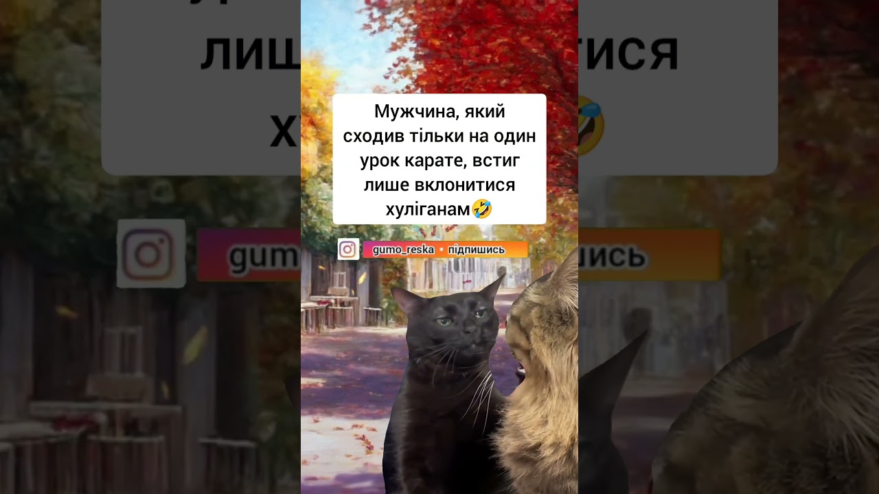 Уроки карате. Гумор Сміх