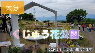 大分 くじゅう花公園に行きました。　2024.5.11