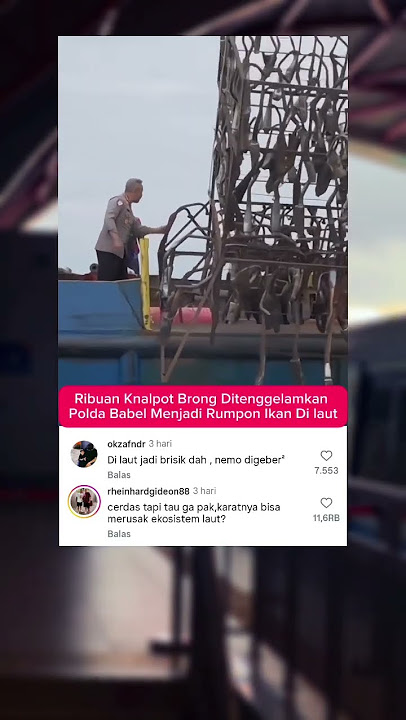 Ikan Ikan Pada Balap Liar😭😂