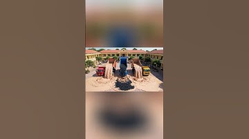 Hùng Trọc và Tí béo chi 1000 tỉ xây bãi biển trà sữa trong trường để troll Capybara #capybara