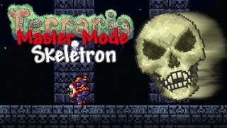 Thanks for watching ''ultimate master mode skeletron guide | terraria
1.4'', liking the video is appreciated! subscribe with notifications
on more videos...