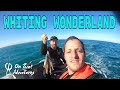 How To Catch King George Whiting | Perth Western Australia | Tiny Boat Fishing