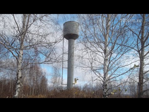 Служебный подлог |