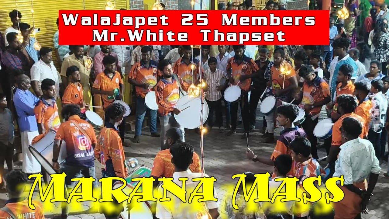💪🥁♥️Walajapet 25 Members |   IN    |   Mr.White Thapset  Vaniyambadi Mass Drums  💪 #trending #ganesh