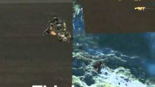 Funny Bug CroSSFire