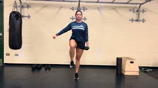 1 Dumbbell Suitcase March