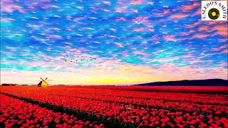 Tango De La Hacienda   -   Jean Paul V