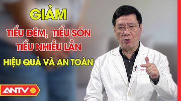 Giảm tiểu đêm, tiểu nhiều lần, tiểu són hiệu quả và an toàn
