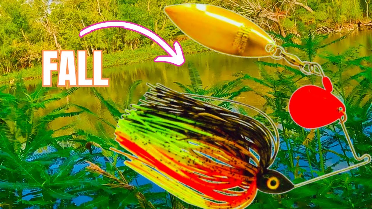FALL Fishing SECRETS for San Antonio, Texas #fishing #bassfishing #fishingvideo