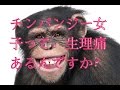 #8 ちょっと言わせて！生理痛について。