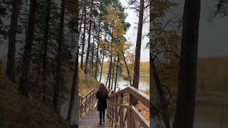 Поездка В Тюмень