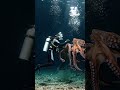Fight Inside sea#usa #scifi #horrorstories  #horrortok
