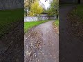шобло самосуд устроило