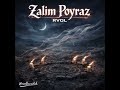 Zalim Poyraz / Ritualistic Electronic Folk Cover ( RVOL )