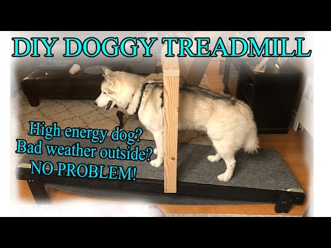 Video: Hoe een Dog Jungle Gym te bouwen