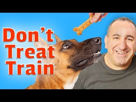 Video: Hur belönas din hund utan att använda behandlingar