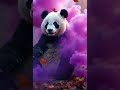 Panda's Purple Magic Dream ✨🐼