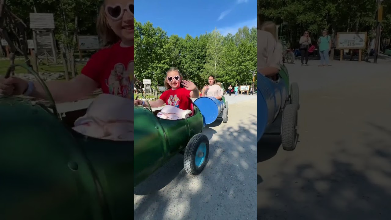 🔴 Trenul a plecat din gară 🥳 