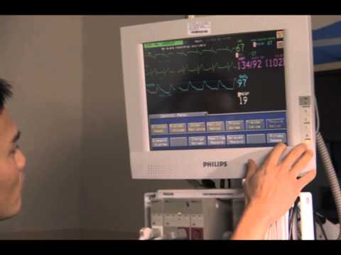 why did u do it,  the mike david project