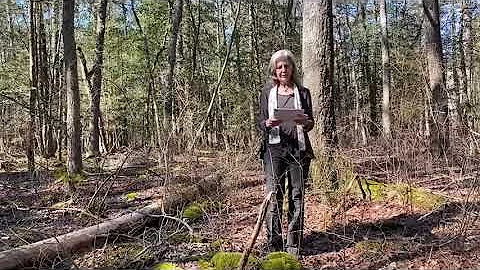 Joan Maloof, "The Tree Rights Revolution," June 18...