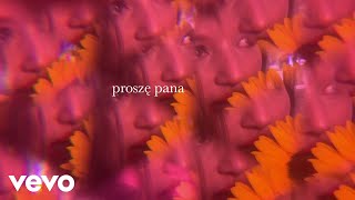 sanah - Proszę pana (Official Lyric Video) chords