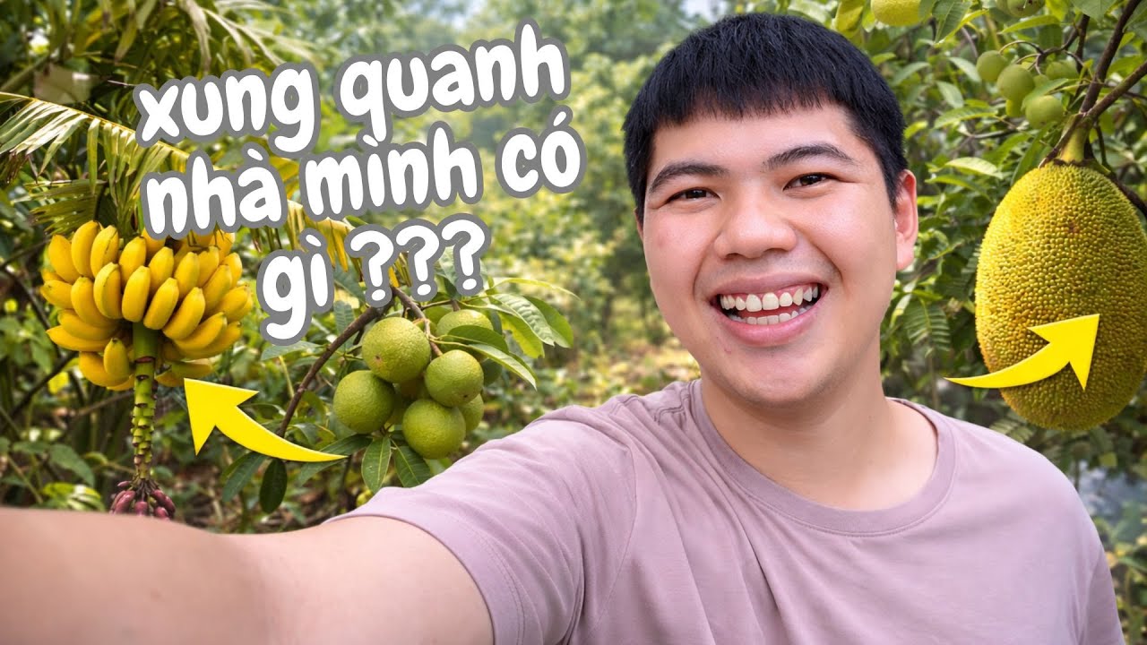 Xung quanh nhà mình có gì vậy? Quay mới thấy bất ngờ