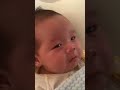 Want to be held but still cute.