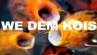 We Dem Kois "Official Music Video"  (Parody of We Dem Boyz)
