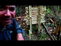 Sobrevivendo dos recursos da selva! Um desafio extremo e real. Vídeo 02#amazônia #sobrevivência