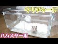中が全部見えるハムスターのおうちがすごい!!