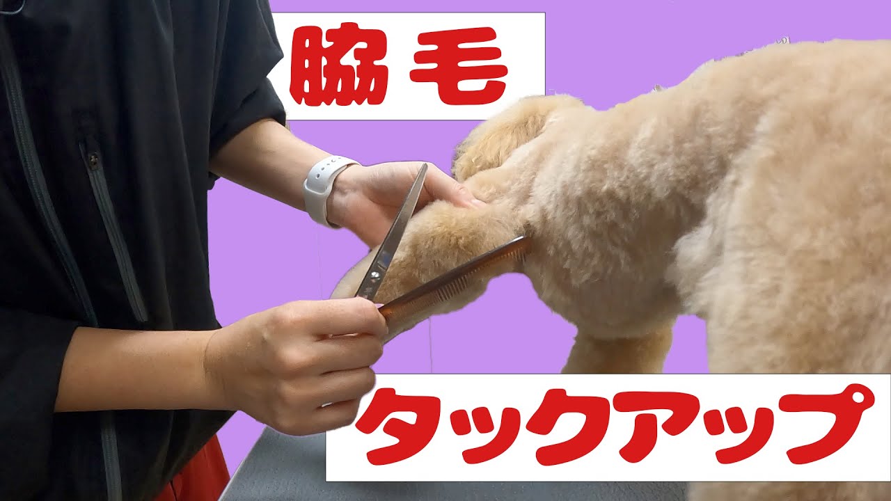 #118  【脇の毛とタックアップ】