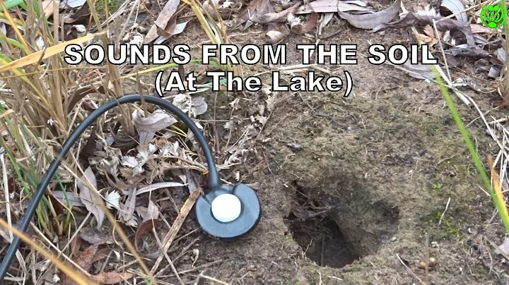 »SOUNDS FROM THE SOIL« (At The Lake) (14/12/2025)